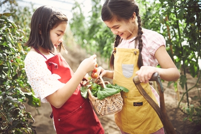 pq3newxYJQYcG2bE4uMz.jpg?w=940&h=940