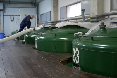 psFE2CughXLLqGdFHlqe.jpg?w=940&h=940