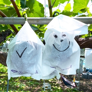 psUAx3XqAo69Ws57jBsI.jpg?w=940&h=940