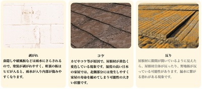 ptFLG8frmMhwHpTFPLYF.png?w=940&h=940