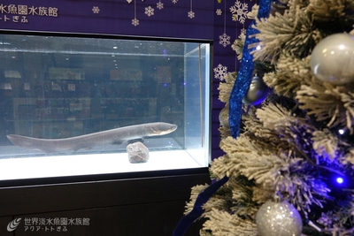 pu7Gsv1kL0bnnFB5ZQWK.jpg?w=940&h=940