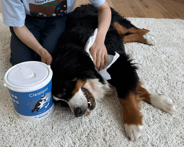 puGlHZ9AxSA7z3BNQdHP.png?w=940&h=940