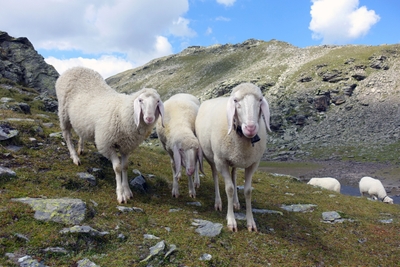 pvseLamEgm6fMbEq12gE.jpg?w=940&h=940