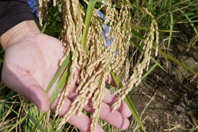 pxNxm7nMfJsgmm9GUE7Z.jpg?w=940&h=940