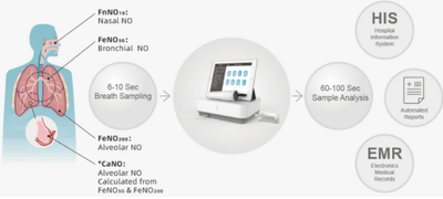 出典：二次情報およびYHResearch,2025