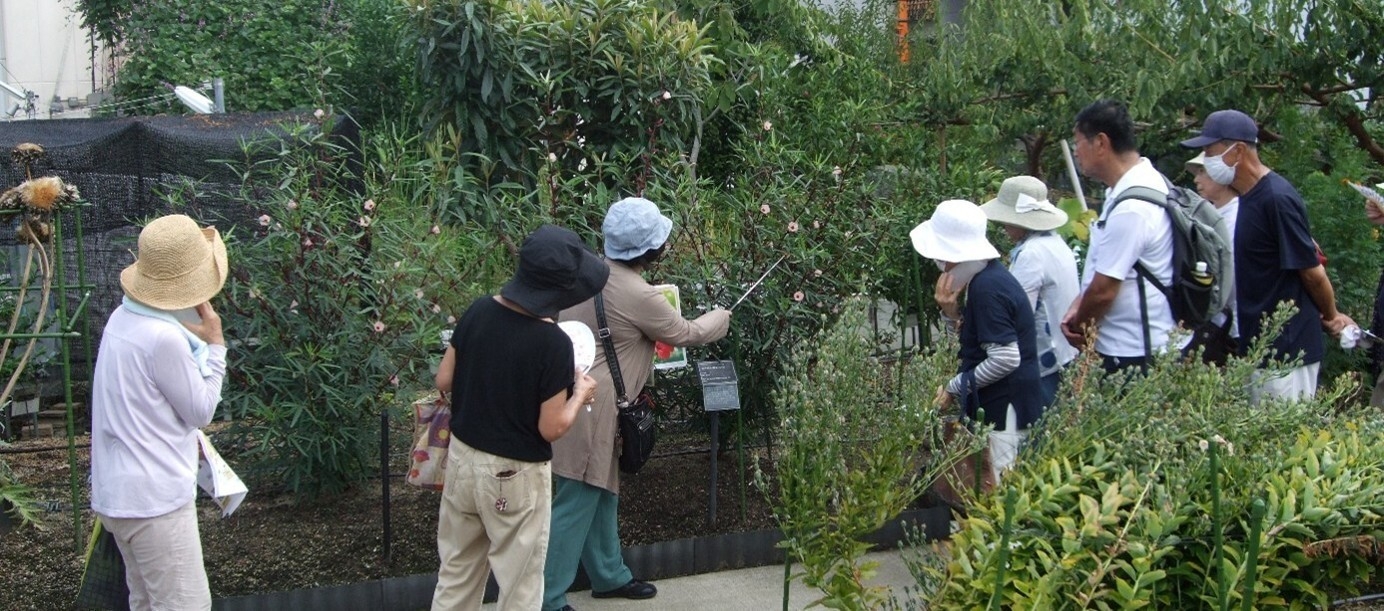 令和6年(2024年)9月に実施した薬用植物園見学会の様子