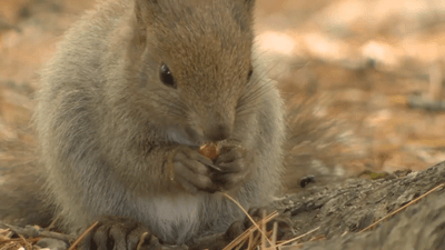 q1Aw0miSI53l3jsdb0GO.png?w=940&h=940