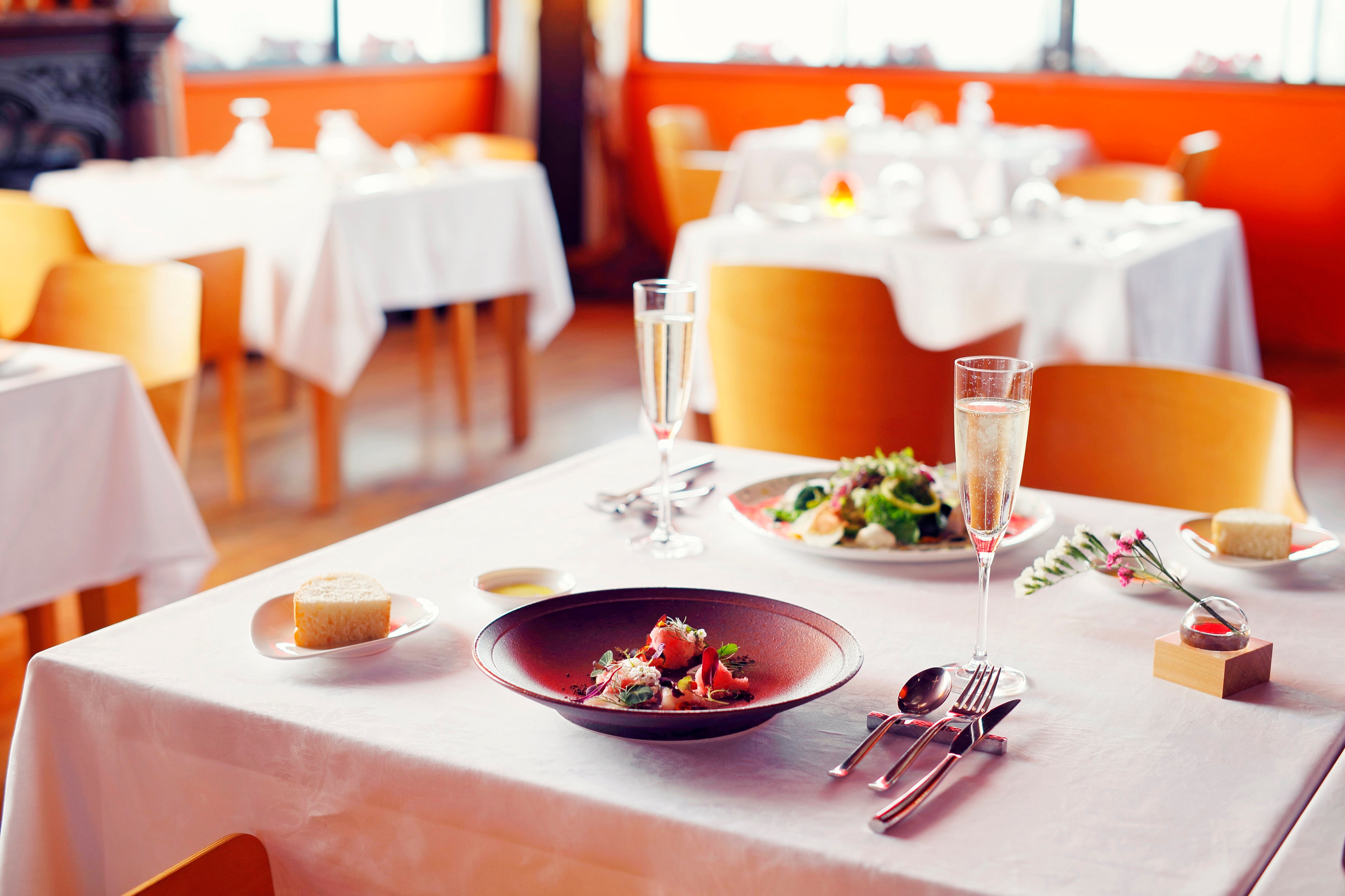 音楽家によるスペシャルコンサートと本格イタリアンコース料理の饗宴 淡路島の複合観光施設「のじまスコーラ」 『Bella Notte』 4 月 24 日 開催