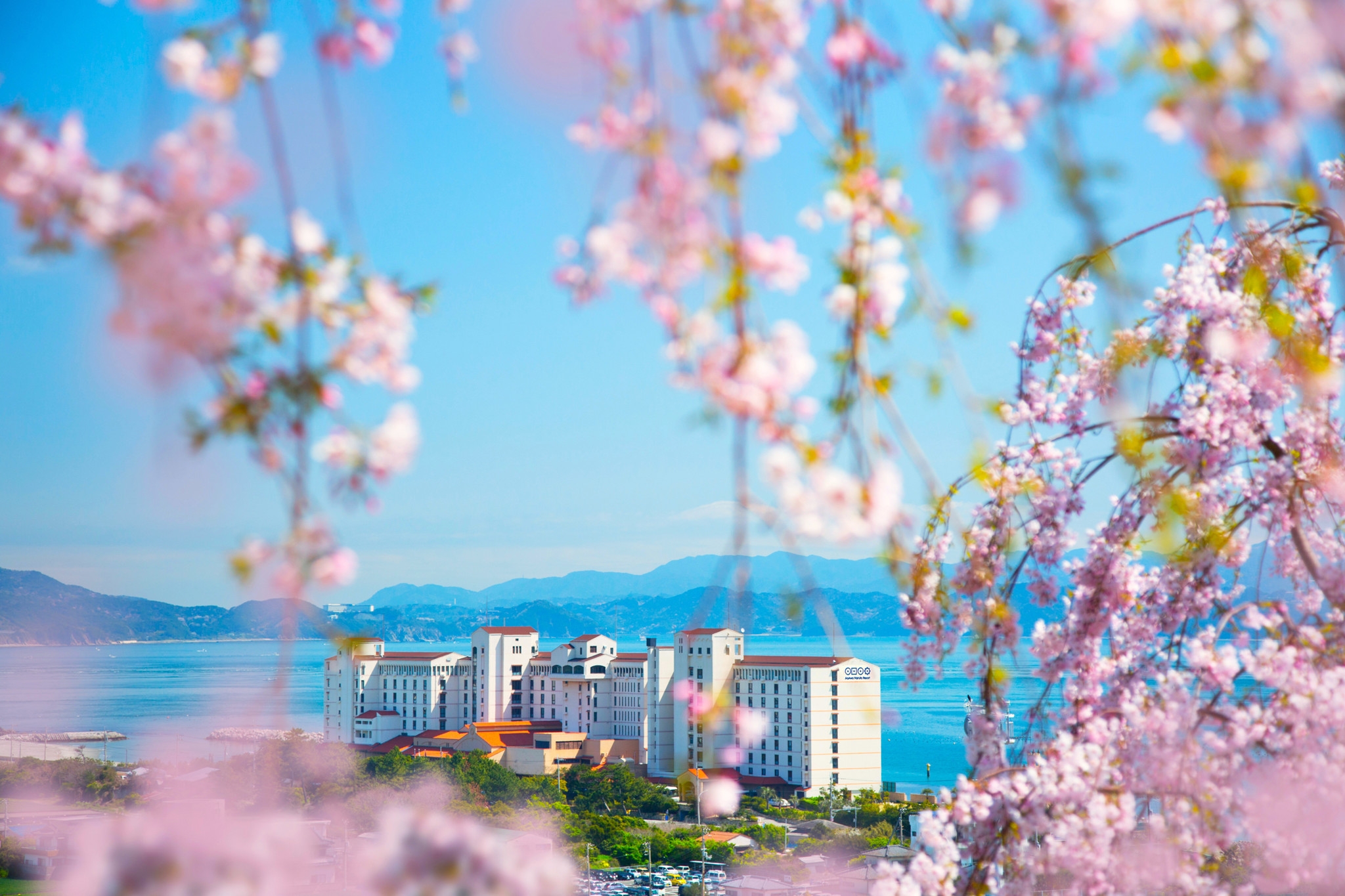 徳島県・アオアヲ ナルト リゾート】圧巻！しだれ桜450本「花見山