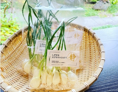 q3vnpsGF9cOeqzhbg4qc.jpg?w=940&h=940