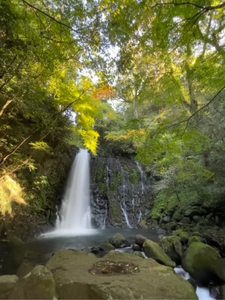 q4JybaaqIKDhBtnpy9HN.jpg?w=940&h=940