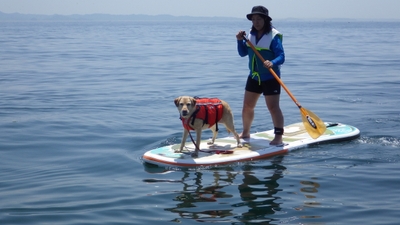 ワンちゃんと海上散歩