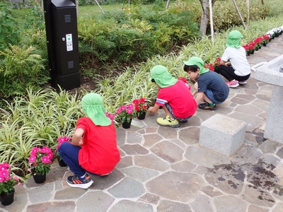 q6ax3KkNgzFJ1e2hojnJ.jpg?w=940&h=940