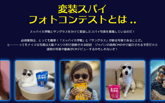 「スッパイ大作戦」変装スパイフォトコンテストとは