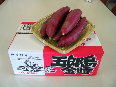 q7S7FlrqOlqKz8poK2Wh.jpg?w=940&h=940