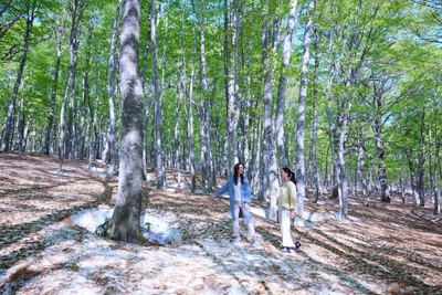 q7rWxDjbWtYiz6HAifwn.jpg?w=940&h=940