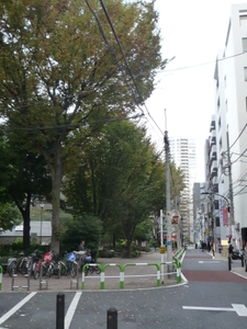 q88WZLkkvVhzL8g9T3r4.jpg?w=940&h=940