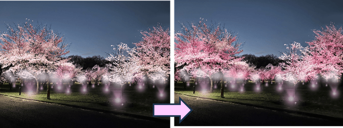 サクラの開花状況に合わせて色を変える光の演出(イメージ)