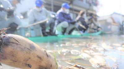 qAPtjj0PdS2Xs7rFscXu.jpg?w=940&h=940