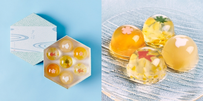 葉山 日影茶屋 夕涼詰合せ 7個入