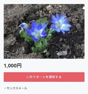 qAgla3TWwoYDUlfB3Pf1.jpg?w=940&h=940