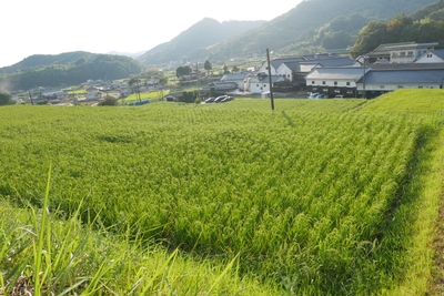 qBCEFKqZHEWFicE1axTc.jpg?w=940&h=940