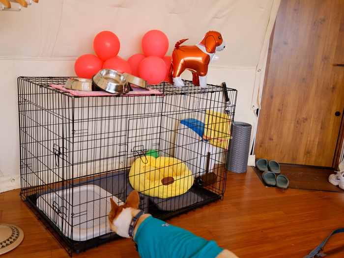 ペット用アメニティ