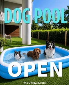愛犬用プール