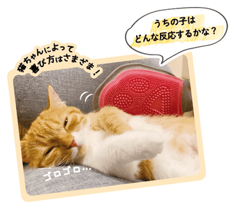 qDBm9wtEhk1nXvIsY6fe.png?w=940&h=940