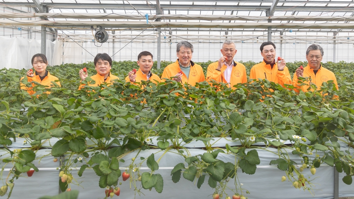 摘みたていちごの美味しさを届けたい|宮城県山元町・いちご生産者の「一苺一笑(いちごいちえ)」さんを訪ねました
