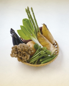 qDcvRc3pwpkqa923vVMr.jpg?w=940&h=940