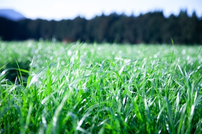 qEQGZE6C0DEatWHjQEmu.jpg?w=940&h=940