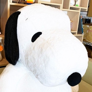 qFKBqSih5oU03kcwmRWJ.jpg?w=940&h=940