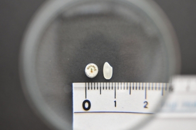 qFYYf30qCC6EVsKJWjiz.jpg?w=940&h=940