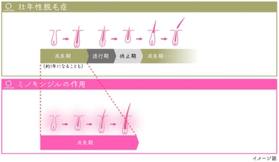 qHbswAz3NQ0i9dCi02gh.jpg?w=940&h=940