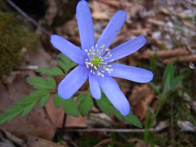 qK4Ds9fX8Ax8aAqHAWKG.jpg?w=940&h=940