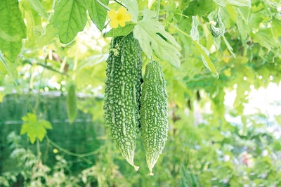 qKBPHwZLYFNbyIljf6Fl.jpeg?w=940&h=940