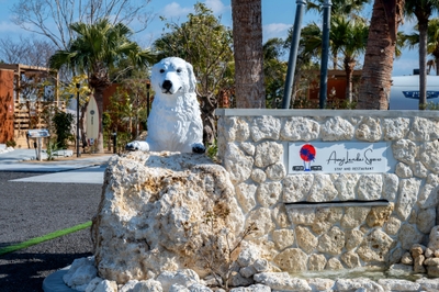 qLgO8n7RLnJmJIFNX7t8.jpg?w=940&h=940