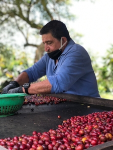 qLiAshOHbmOrwg9E5vKV.jpg?w=940&h=940