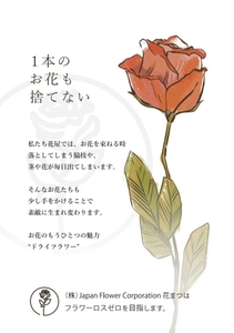 qMiZWAonW2J2tEy4FYha.jpg?w=940&h=940