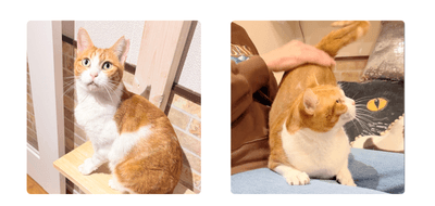 qMkAtlNYqUFDfsBjlcvl.png?w=940&h=940