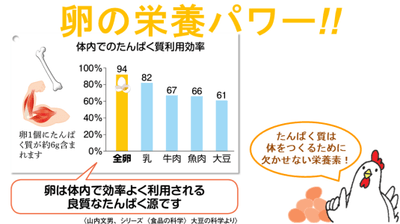 qMscPx6Qbv31Zz3cWa90.png?w=940&h=940