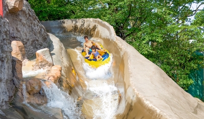 qQ98dWbxf7dJqlsBN7o7.jpg?w=940&h=940