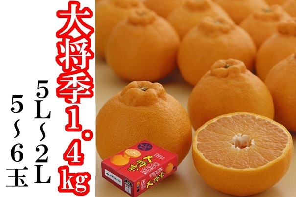 鹿児島県産「大将季」