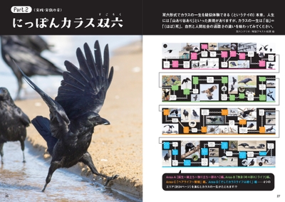 qTmnwVxEoKtn7MU2oVSh.jpg?w=940&h=940