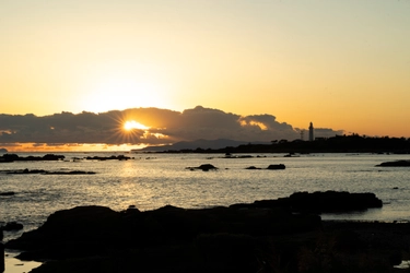 ファミリー旅行におすすめ！太平洋と絶景を楽しむ房総半島の「食べて泊まれる」春の贅沢旅