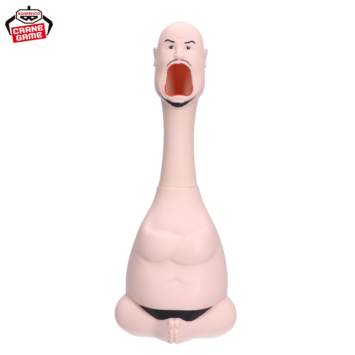 ハリウッドザコシショウ 誇張しすぎたザコシショウ(商品イメージ)