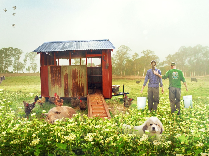 「ビッグ・リトル・ファーム 理想の暮らしのつくり方」