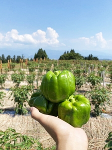 qXuXVIr2H4q96ELCwvV8.jpg?w=940&h=940