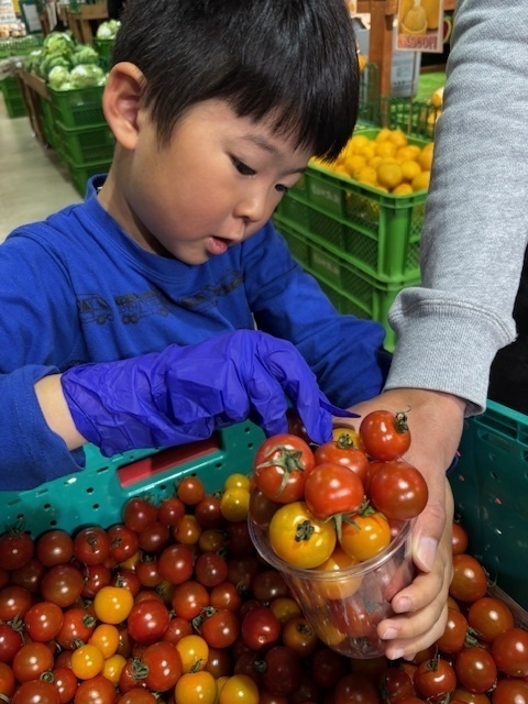 初夏のミニトマト「カップにもりもり盛り放題!」